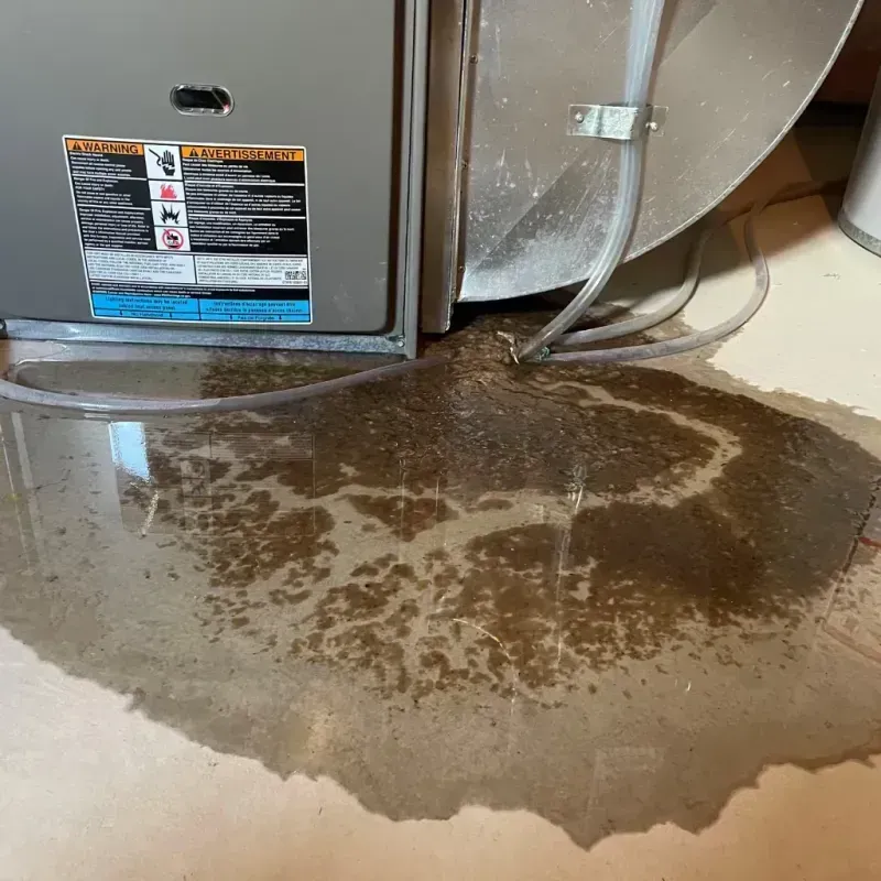 Appliance Leak Cleanup in Queen City, TX